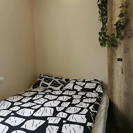 Apartament Apartament Dino *